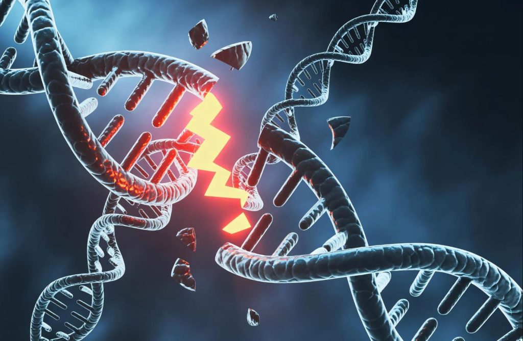 ساخت مغز مستلزم میلیون‌ها شکستگی خطرناک در DNA است!
