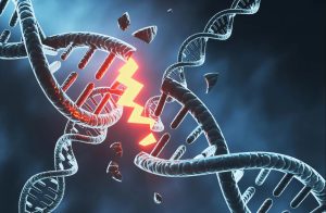 ساخت مغز مستلزم میلیون‌ها شکستگی خطرناک در DNA است!
