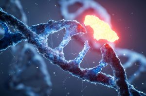 تحول در علم ژنتیک: بازنویسی موفق DNA با ۸ حرف اختصاصی!