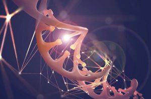 هوش مصنوعی راز پیری را در ساختار سه‌بعدی DNA آشکار می‌کند